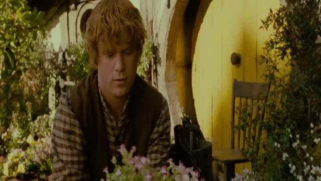 O Senhor dos Aneis A Sociedade do Anel