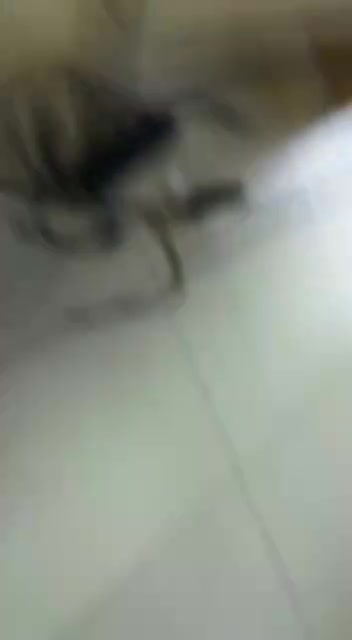 VID-20220809-WA0024