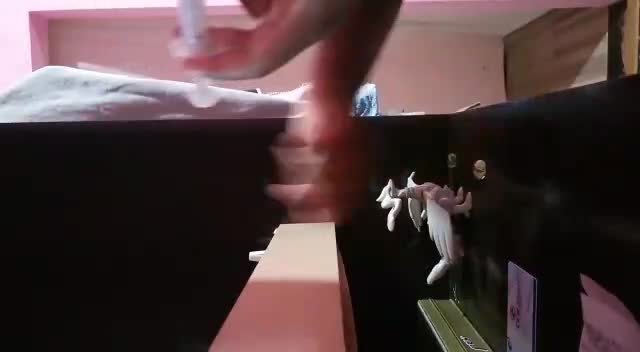 VID-20220903-WA0088