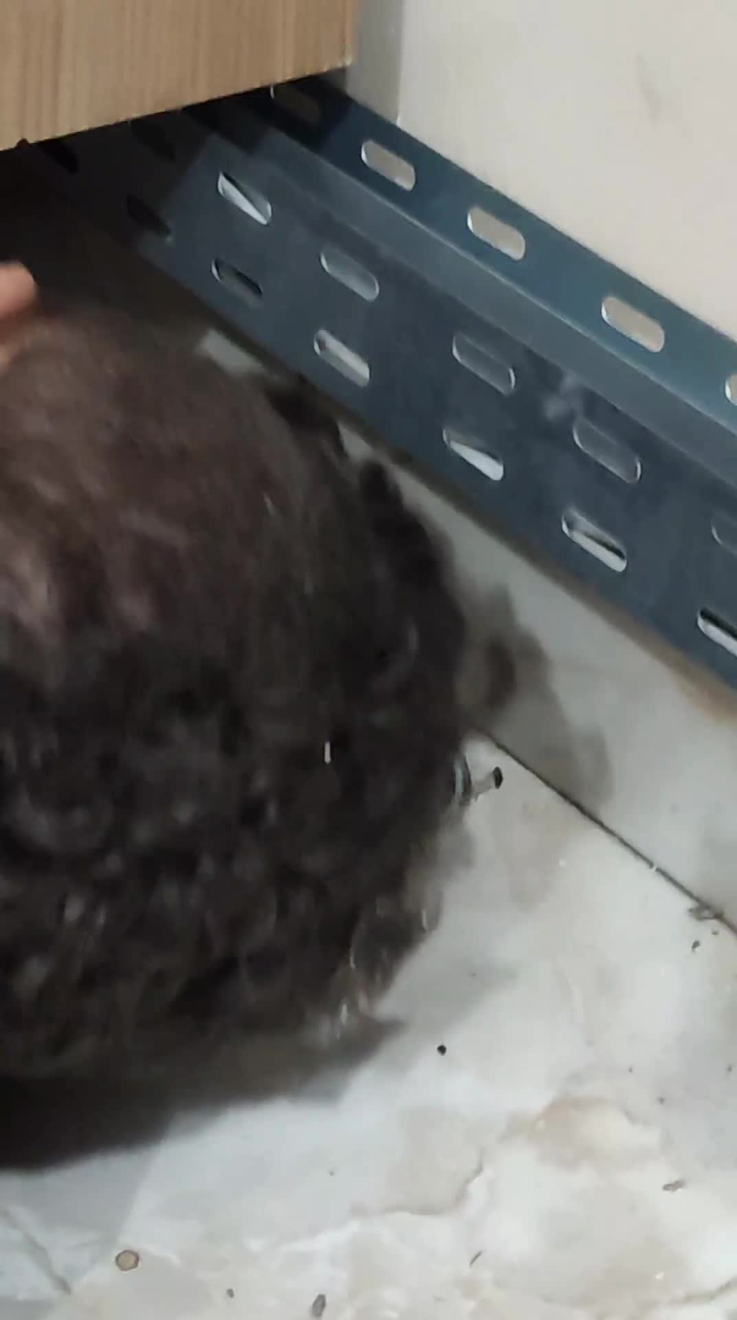 VID-20220723-WA0117
