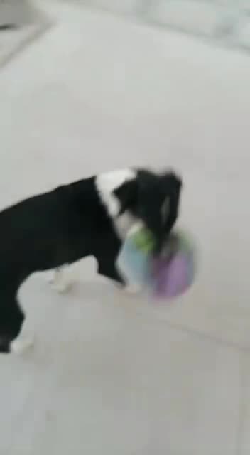 VID-20220928-WA0073