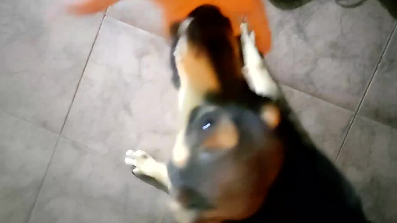 VID_20220728_225751