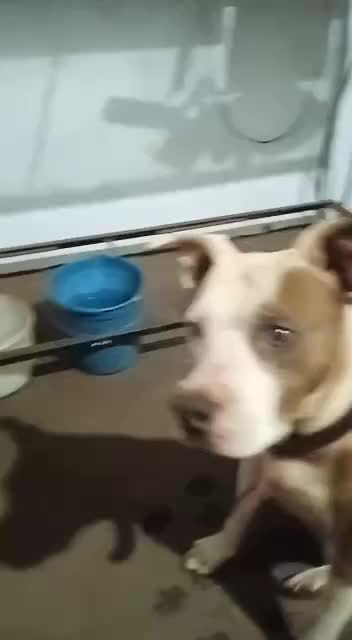 VID-20220510-WA0142