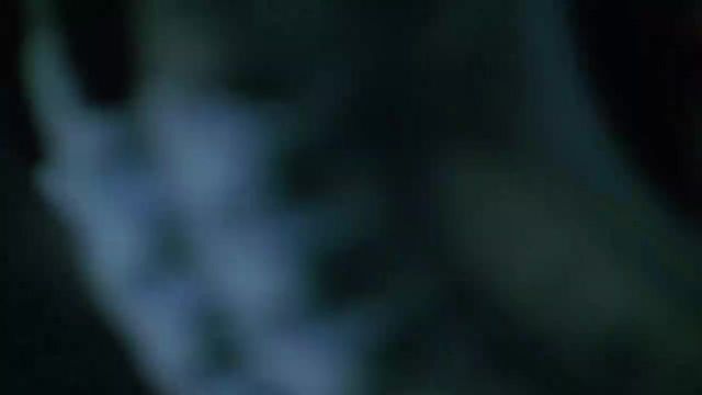 Prison Break S03 E12