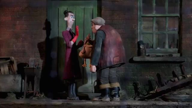 A Fulga das Galinhas