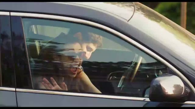 American Pie o Reencontro