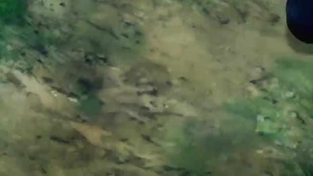 Kage no Jitsuryokusha ni Naritakute! Episodio 14